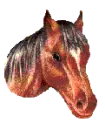 horse