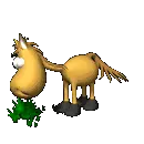 3d horse eating