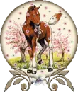 horse