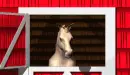 horse in a barn