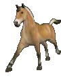horse running