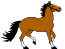 horse running