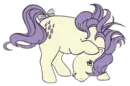 pony hidding