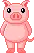pig looking