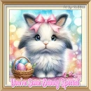You're Some Bunny Special