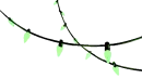 green string of lights