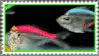 Colored glass fish stamp