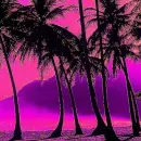 Beautiful sunset