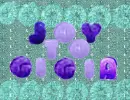 xo Gigia Happy Gigia Day 2025 xo