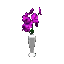 purple flowers