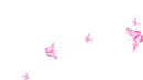 pink butterflies