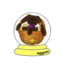 Quinn Bunny snow globe