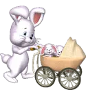 Mama Bunny and babies