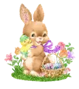 cute bunny holding a chick