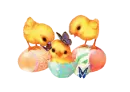 Easter chicks