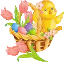 chick in a Easter basket