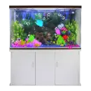 fish aquarium