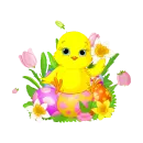 chick sitting on eggs