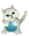 cat playing