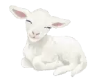 Lamb