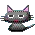 black cat