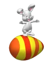bunny