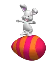 bunny