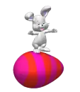 bunny