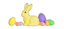 bunny