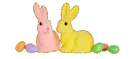 bunnies