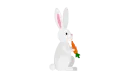 bunny eating a carrot