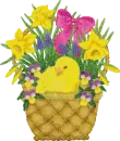 chick in a basket