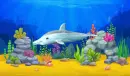 the dolphin  in the sea