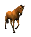 horse