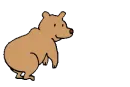 bear trick