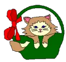 cat in a basket