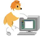 dog and pc