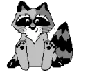 raccon