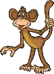 monkey