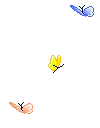 butterflies