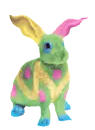 colorful bunny