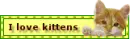 I love kittens