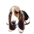lil Basset