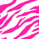 zebra stripes