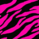 zebra stripes