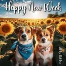 Happy New Week
