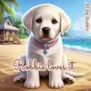 Robbie