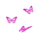 butterflies
