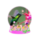 hummingbird snow globe