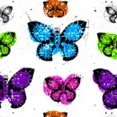 butterflies